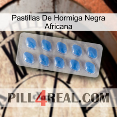 African Black Ant Pills 22